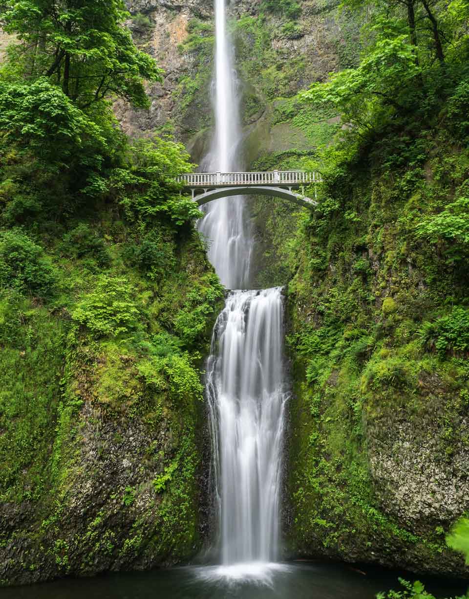 All images are under Mit Licence. All images are under Mit Licence.